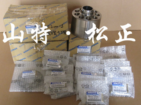 进口215-10液压泵配件