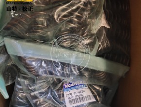 进口6210-41-4430气门弹簧VALVE SPRING,进口矿卡配件,进口矿用自卸车原厂配件