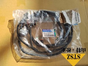 进口PC2000-8 12V140E-3发动机线束6219-81-8710,6219-81-8720,进口原装配件