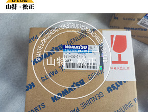 进口HD405/465-7自卸车配件 22T-06-24110工作灯