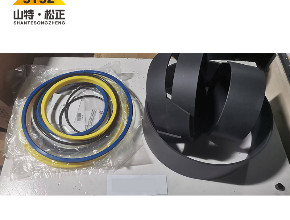 非公路卡车789D油缸修理包354-1312/3541312 KIT-SEAL