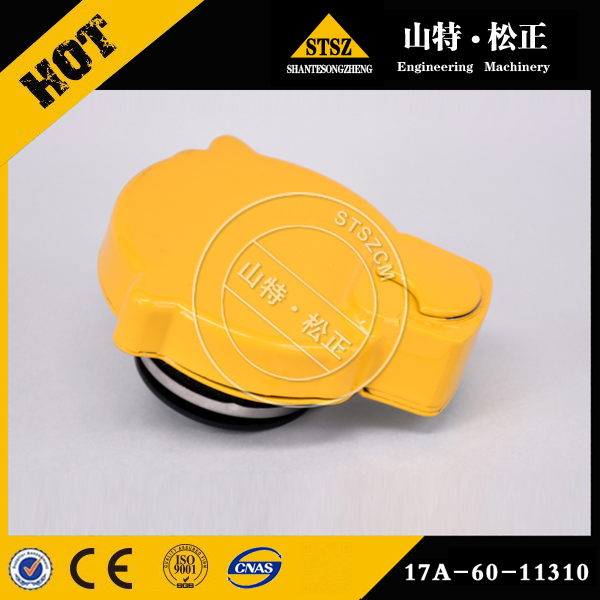 17A-60-11310