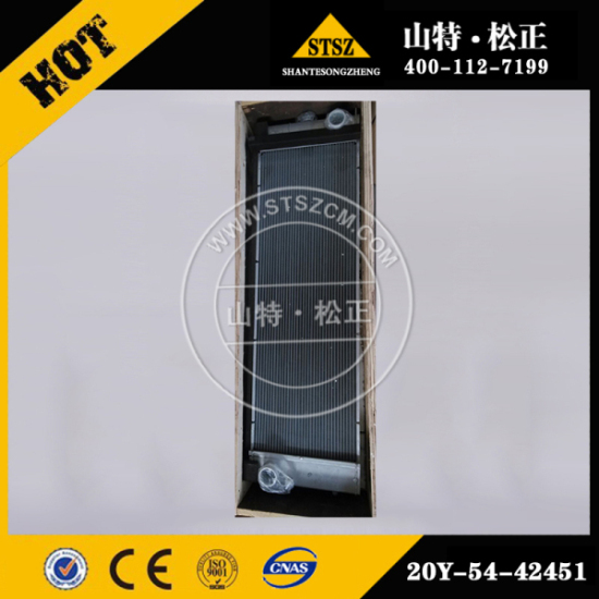 进口PC200-8新款水箱 20Y-54-42451