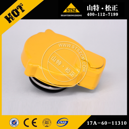 17A-60-11310