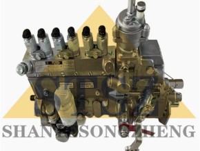 Supply of S6d125-1al Generator Accessories Fuel Pump