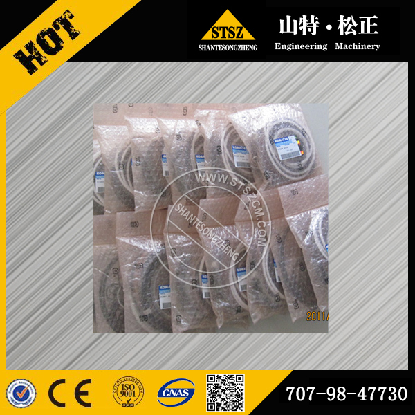 贵州六盘水进口原厂配件现货PC220-8 PC240-8动臂油缸修理包,707-98-47730