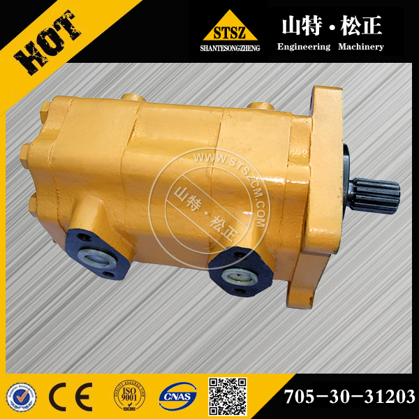 进口D60齿轮泵705-30-31203