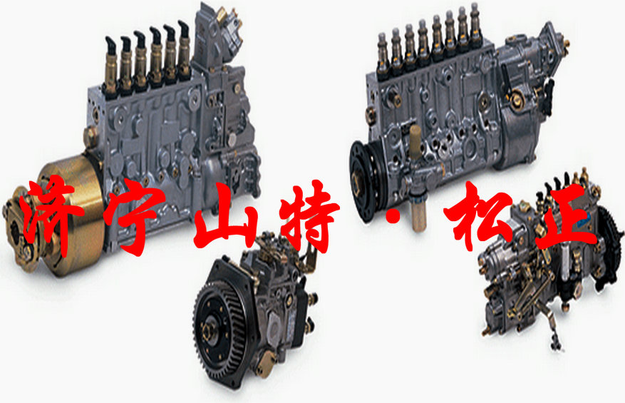 进口柱塞泵ND094040-0381柴油泵柱塞价格