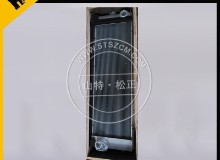 供应现代R220-9水箱总成11Q6-46635，11N6-43021