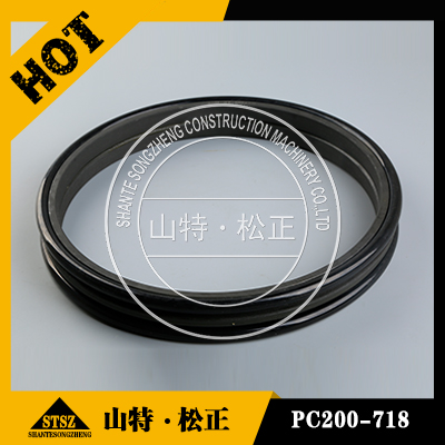 山推SL50装载机 油封DG953-11-FCQ04