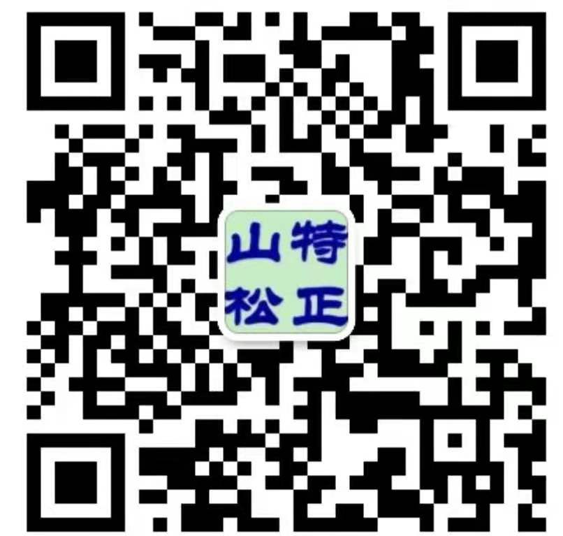 山特·松正