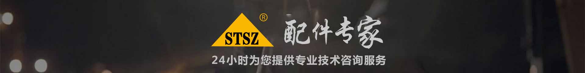 山特·松正