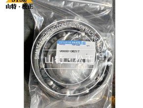 小松 球型轴承06000-06217